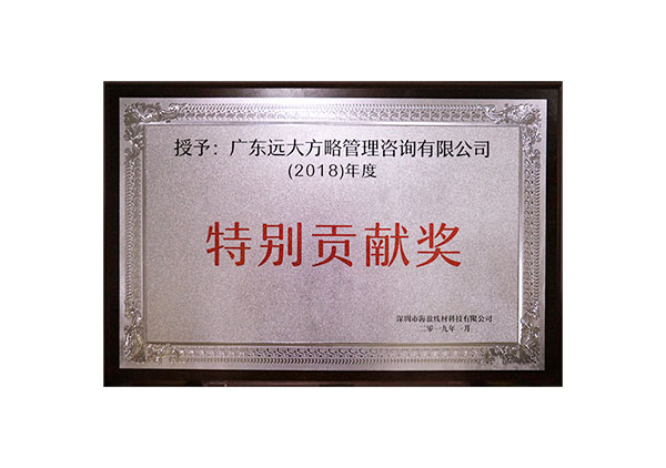 廣東遠(yuǎn)大方略管理咨詢公司“特別貢獻(xiàn)獎”牌匾