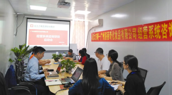廣州洛麗奇化妝品有限公司“經(jīng)營系統(tǒng)”項(xiàng)目案例